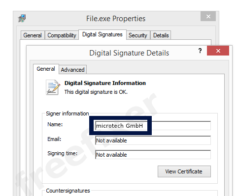 Screenshot of the microtech GmbH certificate